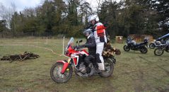 Qui a dit que l'Africa Twin n'était pas un utilitaire ?