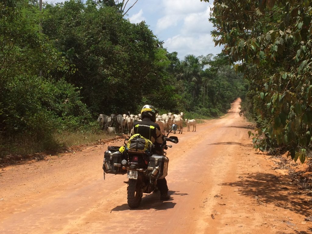 On a traversé la forêt amazonienne, puis les Andes péruviennes pour atteindre le Pacifique