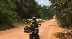 On a traversé la forêt amazonienne, puis les Andes péruviennes pour atteindre le Pacifique