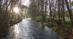 Des paysages plutôt sympa