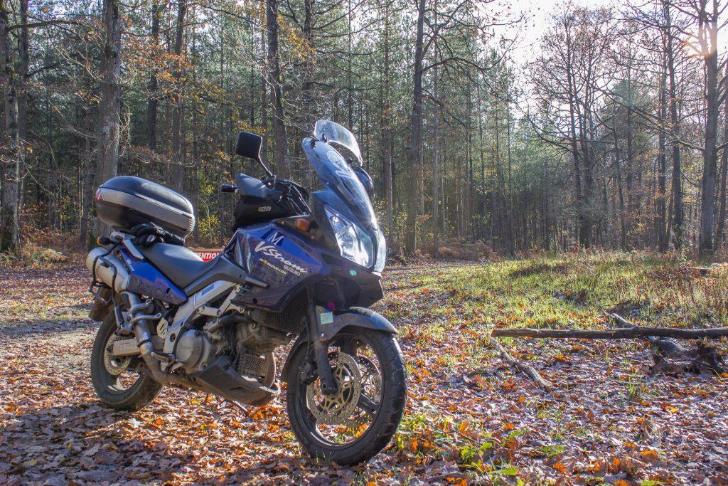 Le roadbook nous a fait passer par des sous-bois magnifiques