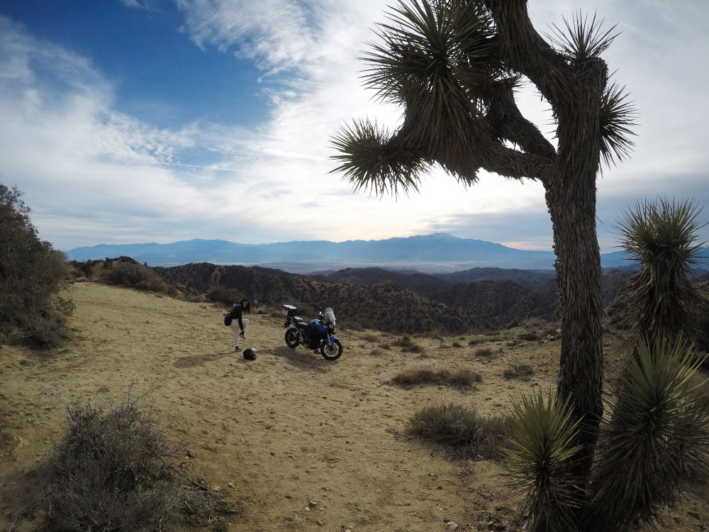 Eureka Peak à l'entrée du Parc National de Joshua Tree