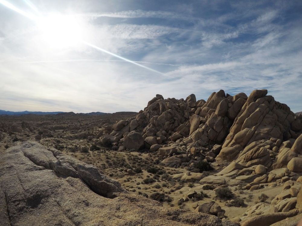 Premier spot dans le Parc National de Joshua Tree