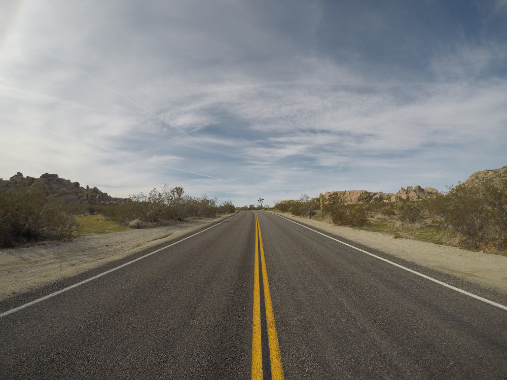 Parc National de Joshua Tree