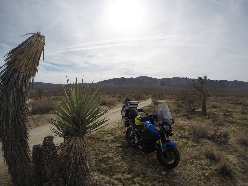 Moto Trip dans le Parc National de Joshua Tree