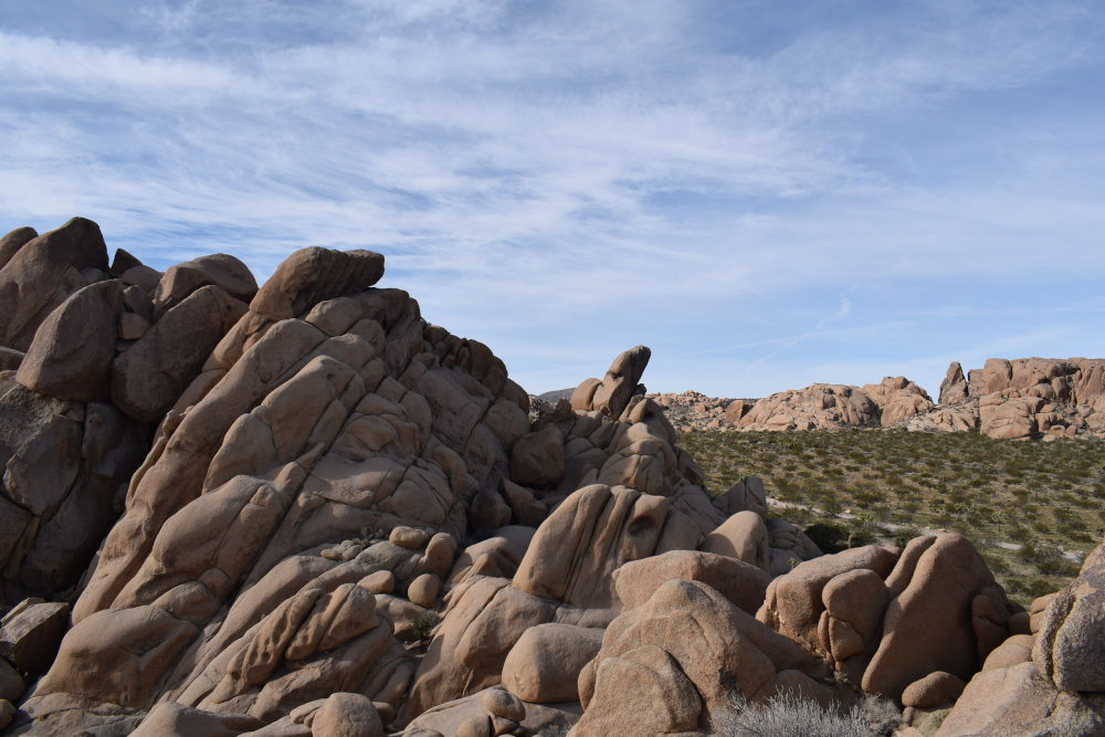 Road Trip dans le Parc National de Joshua Tree