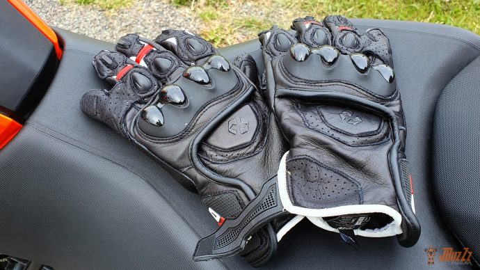 compagnons du quotidien les gants DXR Curbstones