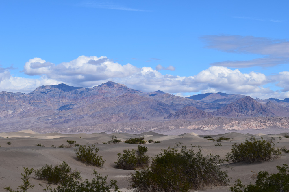 Les dunes de Mesquite dans la Death Valley