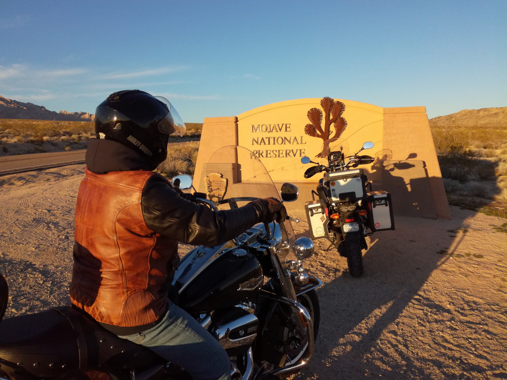 Bienvenue dans le désert de Mojave 