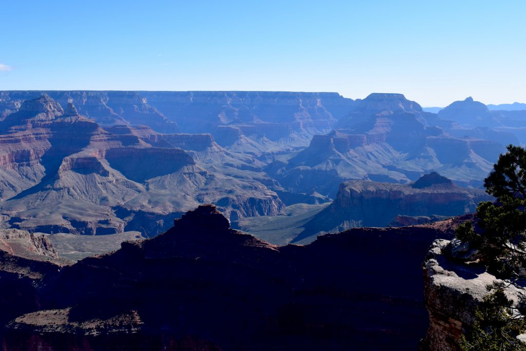 Le Grand Canyon depuis le Rim Trail