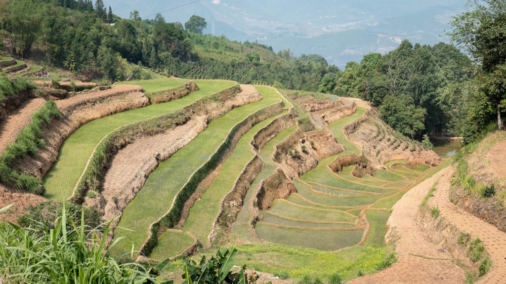 01052019-CREDITS MAEVA BARDY-P1014520