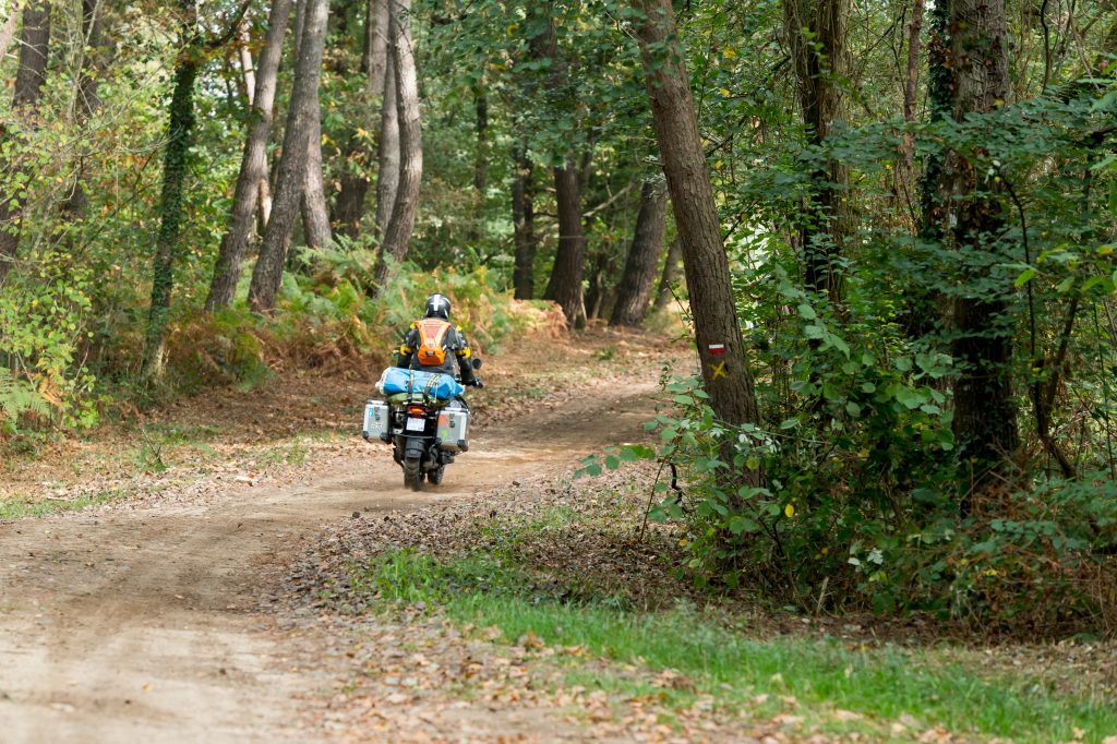 Cocoricorando_motoblouz_05