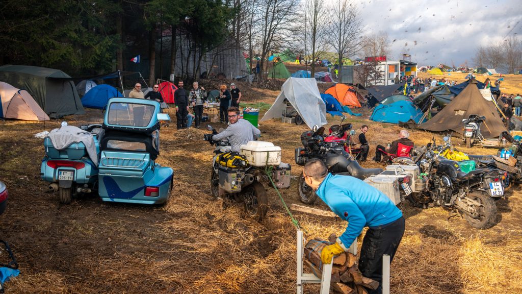 activite_hivernale_elephants_2020