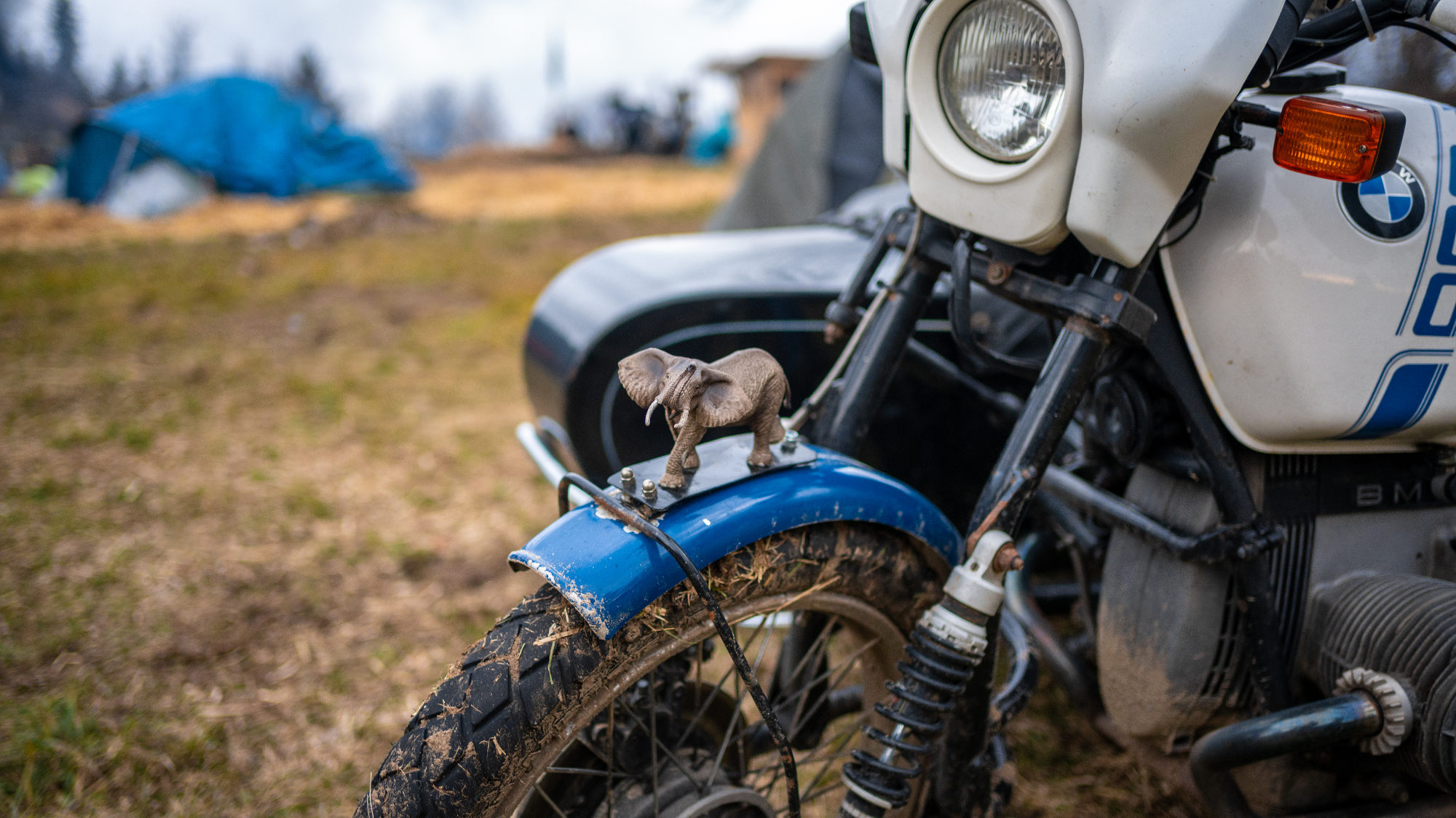 Garde-boue de moto orné d'un éléphant