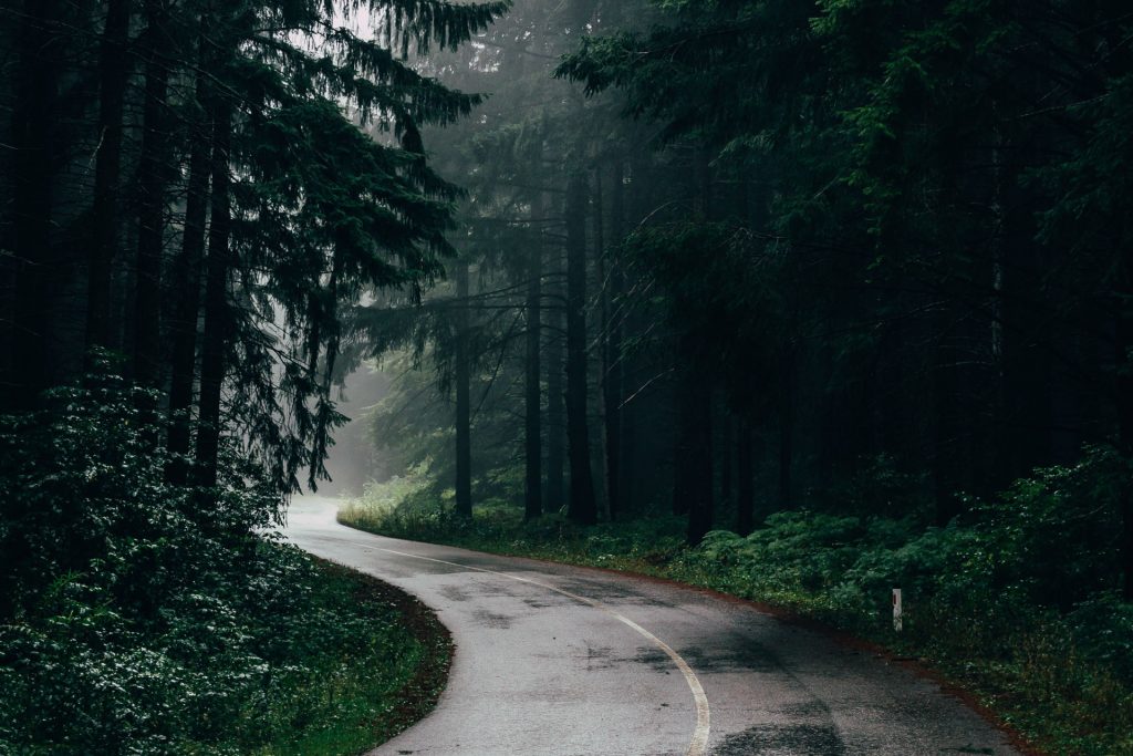 Route forestière sous la pluie
