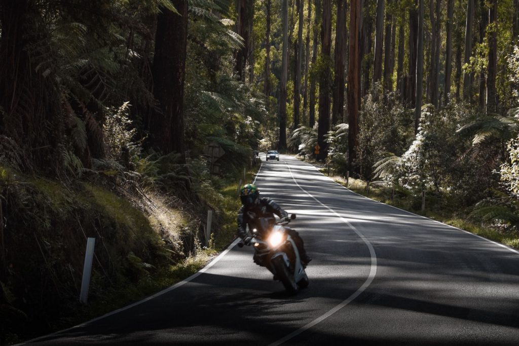 Moto circulant sur une route de forêt
