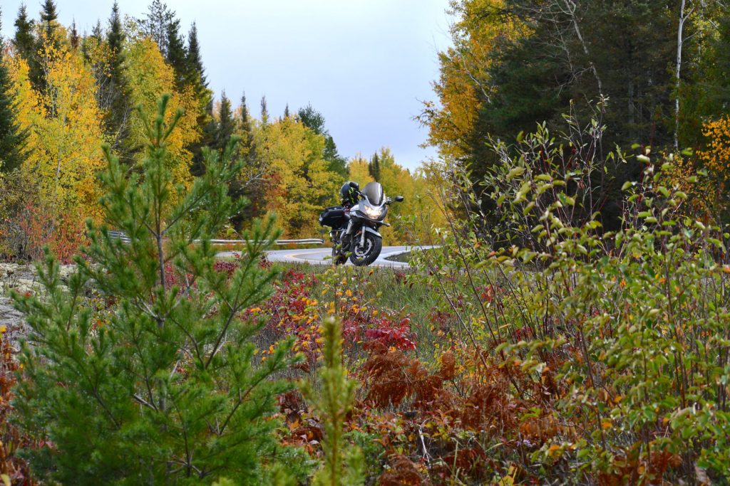 Moto arrêtée sur le bord d'une route forestière en automne