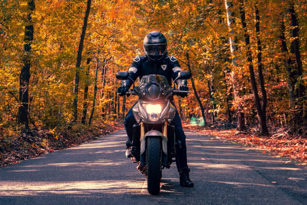 Moto avec le phare allumé en forêt