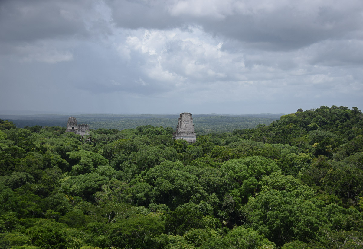 visite de Tikal, voyage en amérique centrale 